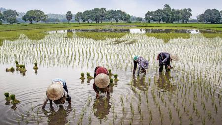 Schüleraustausch in Vietnam