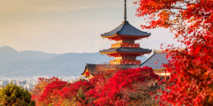 Bucketlist Schüleraustausch Japan