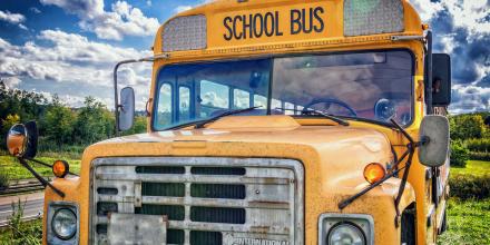 Schüleraustausch in Amerika: Schulbus