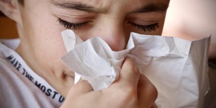 Schüleraustausch mit Allergien 