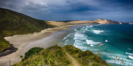 Neuseeland Blick auf den Strand
